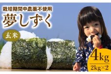 【2025年11月発送】令和7年産 新米 夢しずく ( 玄米 ) 4kg【北原農園】 [HCA001]