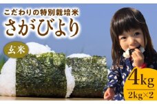 【2025年11月発送】令和7年産 新米 さがびより ( 玄米 ) 4kg【北原農園】[HCA003]