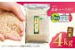 米 コメ ゲンマイ 特A 特A評価米 佐賀 九州 送料無料 お米 おこめ 特栽 特別栽培 特別栽培米