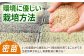 米 玄米 佐賀 佐賀県産 特A評価 特A米