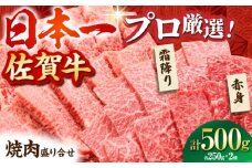 【2度の農林水産大臣賞】 佐賀牛 焼肉 盛り合わせ 500g（霜降り・赤身 各250g）【田中畜産牛肉店】 黒毛和牛 バーベキュー BBQ [HBH160]