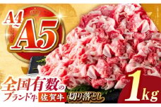 【2025年11月発送】佐賀牛切り落とし 1kg（500ｇ×2パック）【がばいフーズ】 [HCS003] 