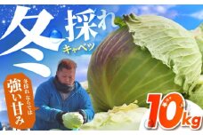 【先行予約】 キャベツ 10kg 【吉祥】 [HDG001]
