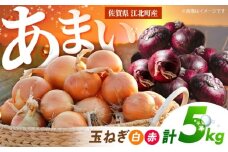 【先行予約】 玉ねぎ（白・赤）セット 計5kg 【吉祥】 [HDG002]