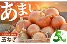 【先行予約】 玉ねぎ 5kg 【吉祥】 [HDG003]