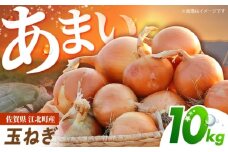 【先行予約】 玉ねぎ 10kg 【吉祥】 [HDG004]