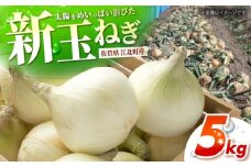 【先行予約】 新玉ねぎ 5kg 【吉祥】 [HDG015]