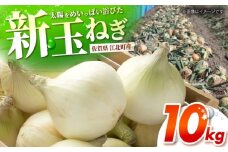 【先行予約】 新玉ねぎ 10kg 【吉祥】 [HDG016]