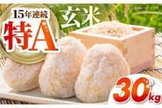 さがびより 玄米 30kg （30kg×1袋） 【吉祥】 [HDG008]