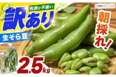 【朝採れ】 訳あり 生そら豆 2.5kg 【にしやまファーム】 新物 さや付き そら豆 [HDI002]
