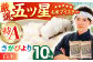 さがびより 白米 10kg ( 5kg×2袋 ) 【五つ星お米マイスター厳選】 [HBL004]