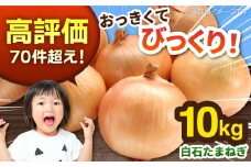 白石産たまねぎ 約10kg / 玉ねぎ 玉葱 タマネギ たまねぎ  [IZZ001]