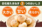 白石産たまねぎ 約10kg