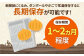 白石産たまねぎ 約10kg