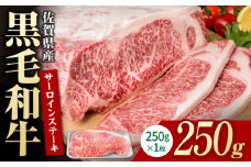佐賀県産 黒毛和牛 贅沢 サーロインステーキ 250g×1枚【いろは精肉店】佐賀県産 佐賀産和牛 牛肉 国産 肉 和牛 サーロイン ステーキ さーろいん すてーき 冷凍 白石町 九州 定期便 人気 高評価 九州 佐賀県 白石町 [IAG015]