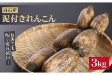 レンコンの名産地！白石町産 泥付き れんこん（3kg） /レンコン 蓮根 佐賀県産 野菜 根菜 高品質 [IZZ011]