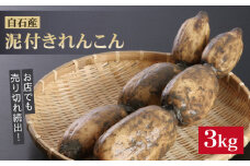 レンコンの名産地！白石町産 泥付き れんこん（3kg） /レンコン 蓮根 佐賀県産 野菜 根菜 高品質 [IZZ011]