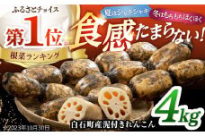 【年内配送】白石町産 泥付きれんこん （4kg） 【佐賀県農業協同組合】レンコン 蓮根 野菜 根菜 佐賀県産 九州 佐賀県 白石町 [IAK015]
