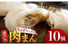 【おやつに大人気！】白石産玉ねぎたっぷり 手づくり肉まん 詰め合わせ 10個入り【五反田茶屋】 肉まん 中華まん 饅頭 おやつ セット 詰め合わせ 惣菜 冷凍 国産 九州 佐賀県 白石町 [IAM001]