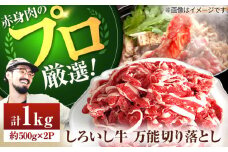 【牧場直送】佐賀県産 しろいし牛 万能 切落し 1kg（500g×2パック）【佐賀セントラル牧場】佐賀県産 牛肉 切り落とし スライス 小分け 国産 牛肉 きりおとし すき焼き しゃぶしゃぶ 九州 佐賀県 白石町 [IAH005]