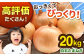 白石産 玉ねぎ 約20kg