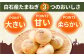 白石産 玉ねぎ 約20kg