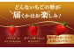 全国で唯一 の超希少品種！メディアで多数紹介されています！