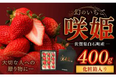 【R8年1月以降発送】【際立つ甘さ！】幻のいちご『咲姫』（化粧箱入り400g）【中村いちご農園】 [ICB002]
