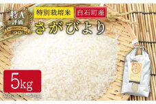 【令和6年度産】特別栽培米 白石産 さがびより（5kg）【道の駅しろいしカンパニー】 [IAA006]