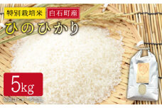 【令和6年度産】特別栽培米 白石産 ひのひかり（5kg）【道の駅しろいしカンパニー】 [IAA007]
