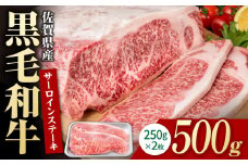 佐賀県産 黒毛和牛 贅沢 サーロインステーキ 250g×2枚（計500g）【いろは精肉店】佐賀県産 佐賀産和牛 牛肉 国産 肉 和牛 サーロイン ステーキ さーろいん すてーき 冷凍 白石町 九州 定期便 人気 高評価 九州 佐賀県 白石町 [IAG016]