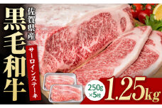 佐賀県産 黒毛和牛 贅沢 サーロインステーキ 250g×5枚（計1250g）【いろは精肉店】佐賀県産 佐賀産和牛 牛肉 国産 肉 和牛 サーロイン ステーキ さーろいん すてーき 冷凍 白石町 九州 定期便 人気 高評価 九州 佐賀県 白石町 [IAG018]