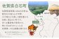 佐賀県産 黒毛和牛 贅沢 ヒレ ブロック肉