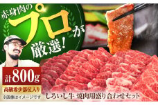 【牧場直送】佐賀県産 しろいし牛 焼肉用 盛り合わせ セット（高級希少部位含む）800g【佐賀セントラル牧場】佐賀県産 肉 牛肉 国産 焼肉 BBQ 食べ比べ おすすめ 人気 オススメ ご褒美 九州 佐賀県 白石町 [IAH003]