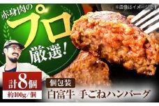 【牧場直送】白富牛 岩塩と牛肉のみで作った手ごねハンバーグ 100g×8個 【佐賀セントラル牧場】佐賀県産 ハンバーグ 牛肉 冷凍 はんばーぐ 牛肉 お惣菜 おかず 和牛 国産 ハンバーグ 九州 佐賀県 白石町 [IAH015]