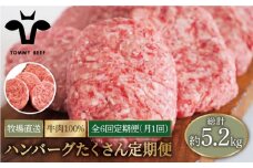【牧場直送】【6回定期便】家族に優しい！ハンバーグ＆ロールステーキ定期便 【佐賀セントラル牧場】佐賀県産 牛肉 肉 お肉 ハンバーグ ロールステーキ はんばーぐ 九州 佐賀県 白石町 [IAH028]