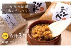 【身体にやさしい発酵食品！】てんぺ味噌・米こうじセット【しろいし特産物直売所】テンペ 発酵食品 健康食品 無塩 国産 佐賀県産 九州 佐賀県 白石町 九州 佐賀県 白石町 [IAI001]