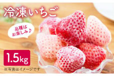【先行予約】冷凍いちご おまかせ 詰め合わせ 1.5kg【岸川農園】 九州 佐賀県 白石町 [IAP001]