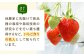 農家直送！新鮮なままフレッシュに冷凍！