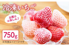 【先行予約】冷凍いちご おまかせ 詰め合わせ 750g【岸川農園】九州 佐賀県 白石町 [IAP002]