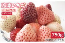 【先行予約】【贅沢3種食べ比べ】白石産冷凍いちご（さがほのか・淡雪・パールホワイト）750g【ハヤシダファーム】 九州 佐賀県 白石町 [IAQ001]