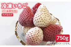 【先行予約】【贅沢2種食べ比べ】白石産冷凍いちご（さがほのか・パールホワイト）750g 【ハヤシダファーム】九州 佐賀県 白石町 [IAQ003]