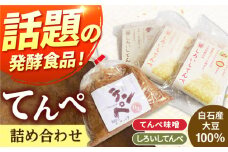 【身体にやさしい発酵食品！】テンペ詰め合わせ（テンペ150g×3袋/テンペ味噌800g×1袋）【しろいし特産物直売所】てんぺ 発酵食品 健康食品 国産 佐賀県産 九州 佐賀県 白石町 九州 佐賀県 白石町 [IAI005]