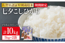 期間限定！令和4年産 新米 七夕こしひかり 10kg（5kg×2袋）【佐賀県農業協同組合】 九州 佐賀県 白石町 [IAK013]