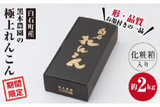 【令和7年10月以降発送】大切な人へのギフトにも！ 極上れんこん 約2kg 化粧箱 （黒）入り【黒木農園】/特別栽培 レンコン 蓮根 白石町産 野菜 根菜 高品質 九州 佐賀県 白石町 [IAU002]