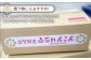レンコンの名産地「佐賀県白石町福富」からお届け！