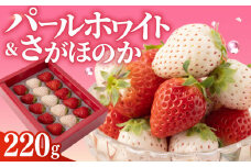 【先行予約】【農家直送】いちご食べ比べ！『さがほのか』と『パールホワイト』220g 化粧箱入り 【ハヤシダファーム】 九州 佐賀県 白石町 [IAQ004]