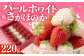 少量パックがうれしい！食べ比べ！