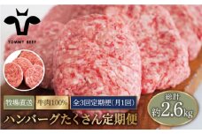 【牧場直送】【3回定期便】家族に優しい！ハンバーグ＆ロールステーキ定期便 【佐賀セントラル牧場】佐賀県産 牛肉 お肉 ハンバーグ ロールステーキ 冷凍 定期便 九州 佐賀県 白石町 [IAH049]