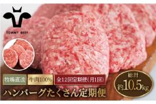 【牧場直送】【12回定期便】家族に優しい！ハンバーグ＆ロールステーキ定期便 【佐賀セントラル牧場】佐賀県産 牛肉 お肉 肉 ハンバーグ ステーキ 九州 佐賀県 白石町 [IAH050]